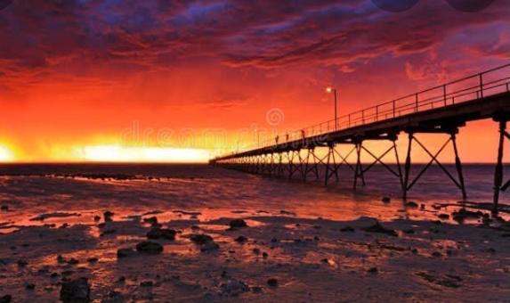 Hotel A1Cabins Ceduna Zewnętrze zdjęcie